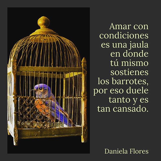 28158765_165240880946200_3029051416653070336_n