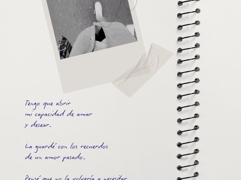 Mis caricias se encogieron